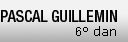 Logo Pascal Guillemin Aikido